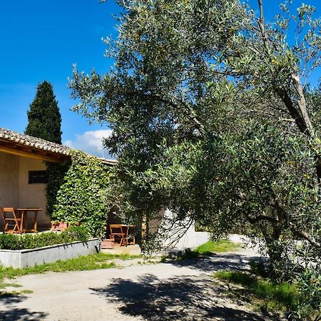 La Casa Del Cancello Di Borgo Carbone Locri Zewnętrze zdjęcie